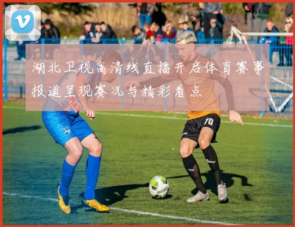 湖北卫视高清线直播开启体育赛事报道呈现赛况与精彩看点