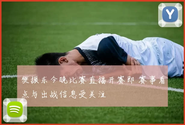 樊振东今晚比赛直播开赛即 赛事看点与出战信息受关注