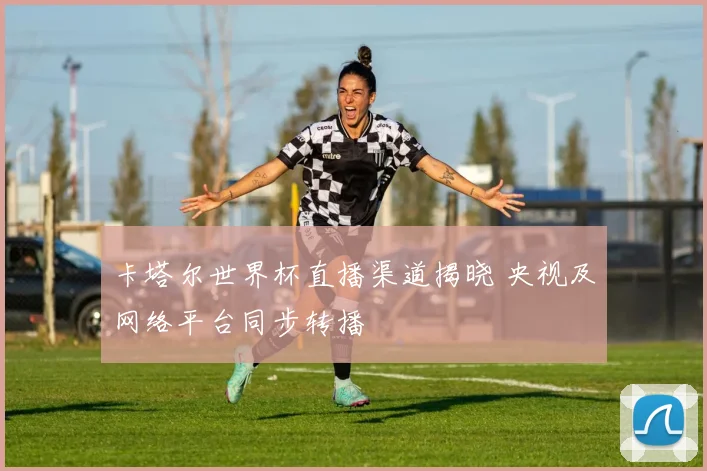 卡塔尔世界杯直播渠道揭晓 央视及网络平台同步转播