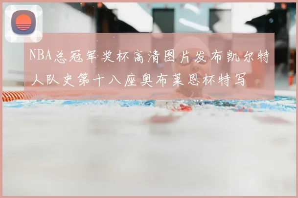 NBA总冠军奖杯高清图片发布凯尔特人队史第十八座奥布莱恩杯特写