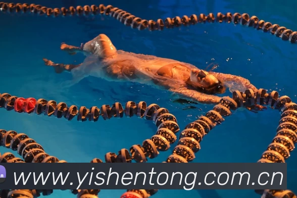 leyu乐鱼官方网站 - 乐鱼(中国)平台生态图